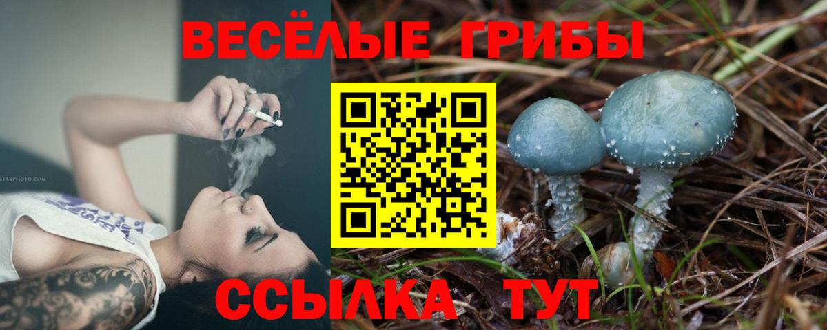 Галлюциногенные грибы прущие грибы  Вход с VPN  Алатырь 