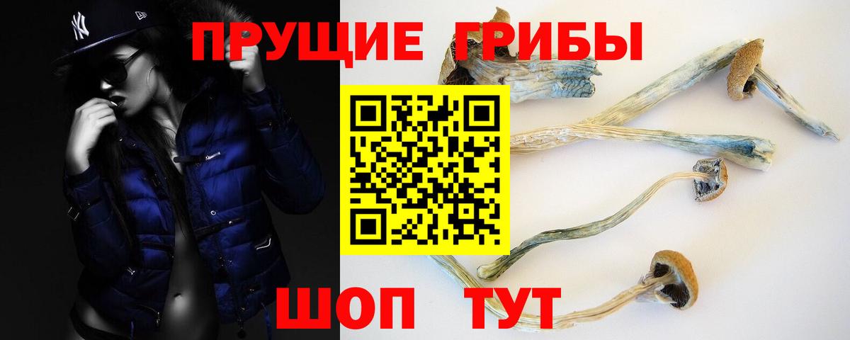 Псилоцибиновые грибы прущие грибы Алатырь